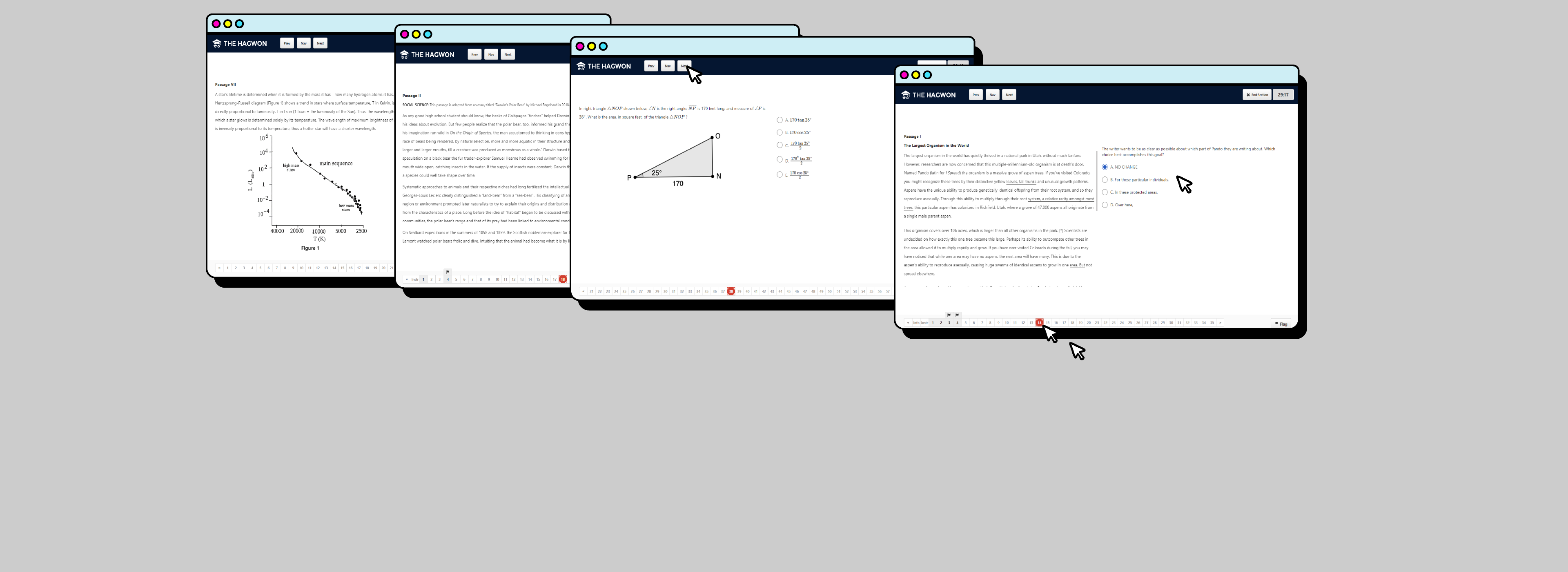 page-banner
