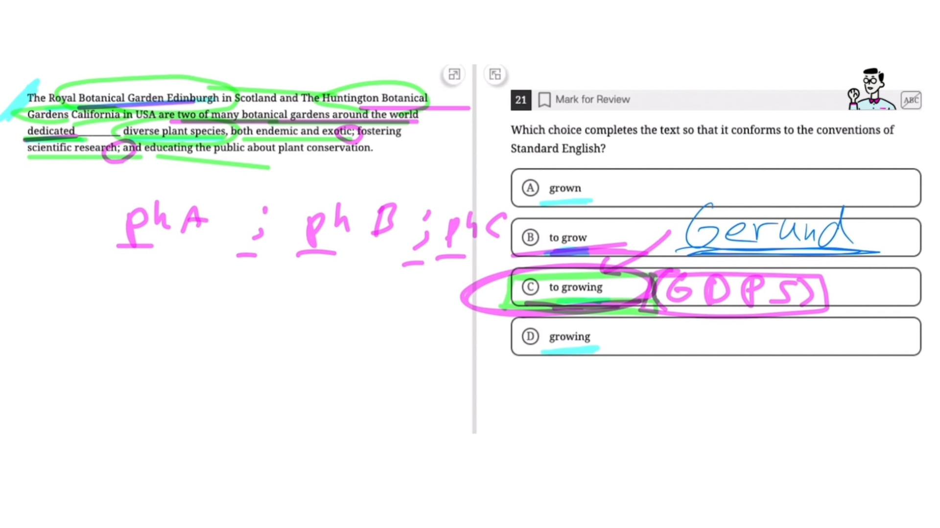 /images/path/writing-review-thumb.png